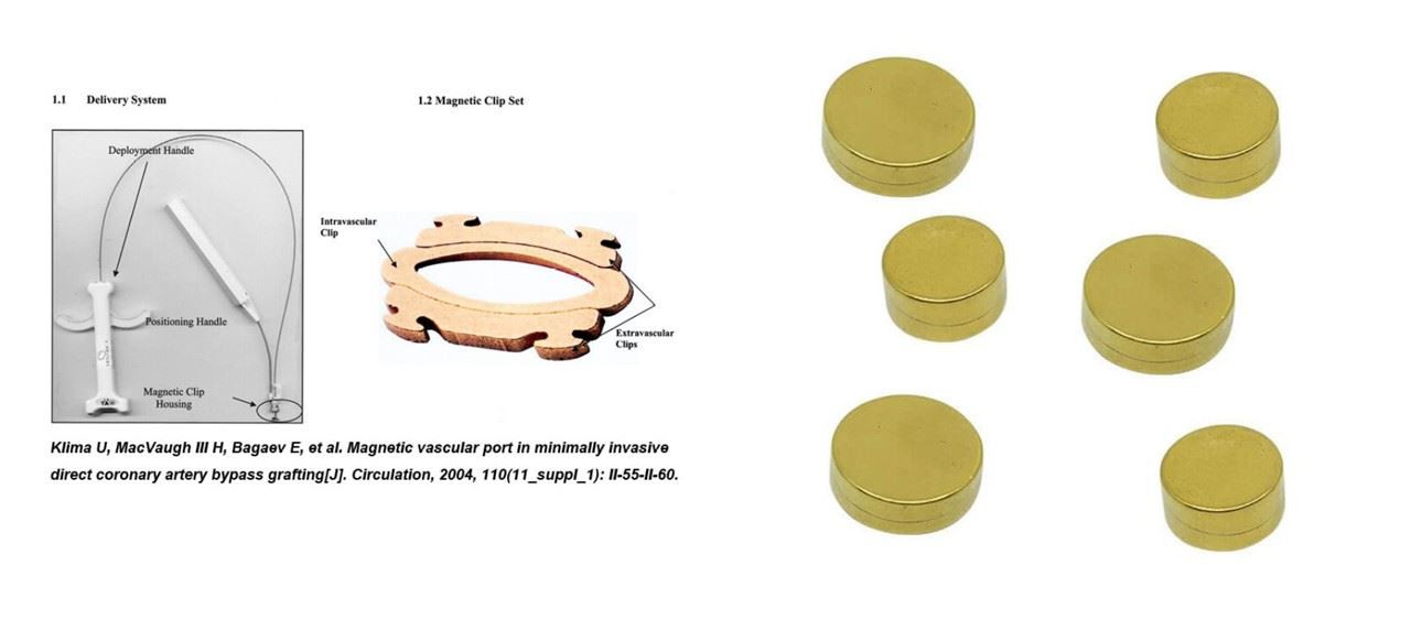 Neodymium Titanium Nitride Coated Magnets-2 Neodymium Titanium Nitride Coated Magnets-2